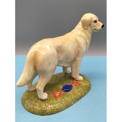 700 - Royal Doulton Gun Dog Collection Figure of a Golden Retriever RDA14. 14cm High x 17cm.