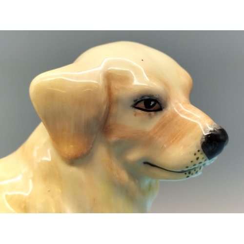 700 - Royal Doulton Gun Dog Collection Figure of a Golden Retriever RDA14. 14cm High x 17cm.