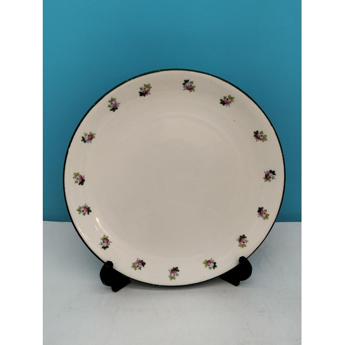 528 - Foley Art Pottery/Peacock Pottery 20 Piece Part Tea Set plus a Cream Jug in a Similar Pattern. Some ... 