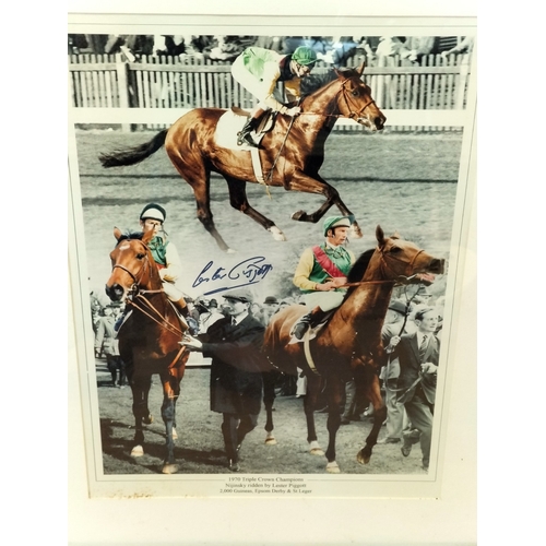 Framed 1970 Triple Crown Champion Picture Signed by Lester Piggot 54cm ...