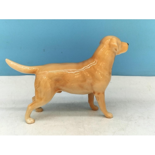 446 - Mixed Items to include Beswick Figure of a Golden Labrador, Coalport Posy Bowl, Silver Plate Bowl, 1... 