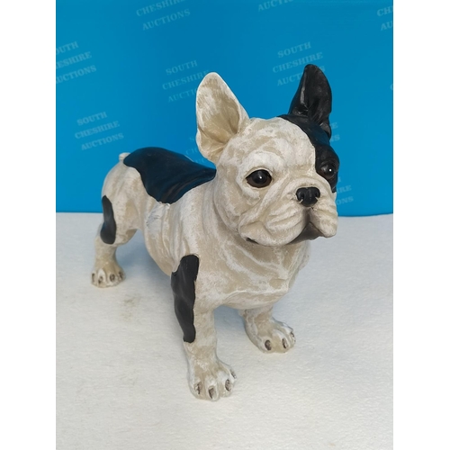 272 - Resin French Bulldog Figure. 23cm High x 28cm.