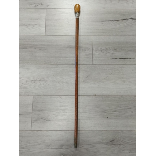 274 - Silver Hallmarked (Birmingham) Collared Walking Stick.