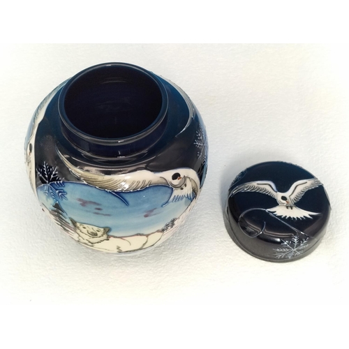 33 - Boxed Moorcroft Collectors Club 'Arctic Tundra' 16cm Lidded Ginger Jar by Sian Leeper 2006. Red Dot