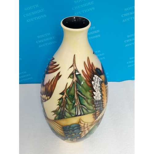 57 - Boxed Moorcroft 'Red Kites' 32cm Limited Edition Vase by Philip Gibson 2007. Red Dot
