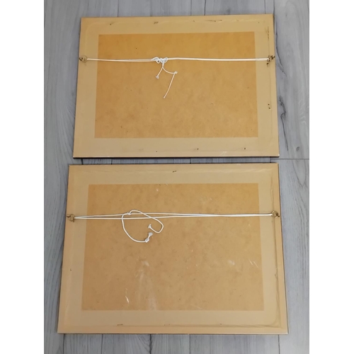 249 - Framed and Mounted Simon Drew 'Great Mistakes in Music' Prints (2), 'Poultry in Motion' and 'Newts i... 