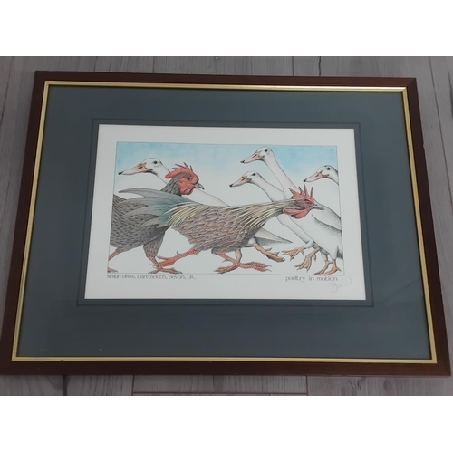 249 - Framed and Mounted Simon Drew 'Great Mistakes in Music' Prints (2), 'Poultry in Motion' and 'Newts i... 