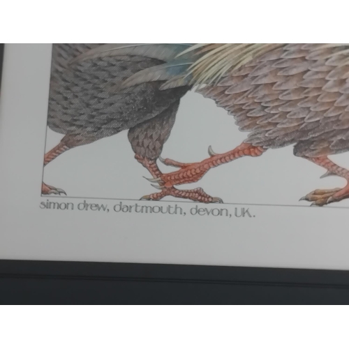249 - Framed and Mounted Simon Drew 'Great Mistakes in Music' Prints (2), 'Poultry in Motion' and 'Newts i... 