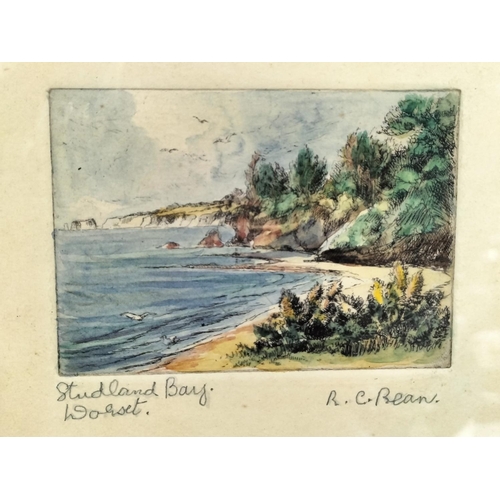 250 - Framed Watercolour and Pictures (3) by Rosina Charlotte Bean to include Brownsea Isle Poole Harbour,... 