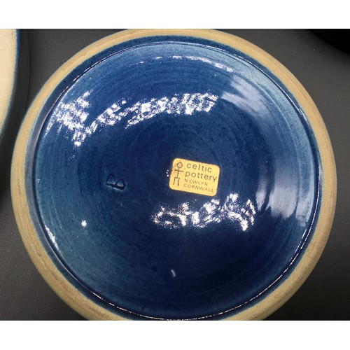 4 - 7 Piece Newlyn Pottery Celtic blue jugs & trays