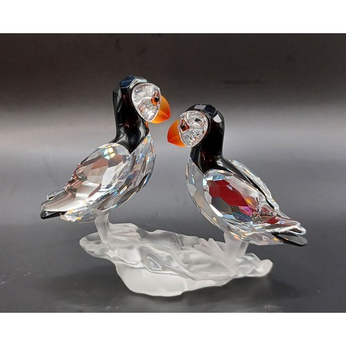 Swarovski Boxed - Atlantic Puffins 261643