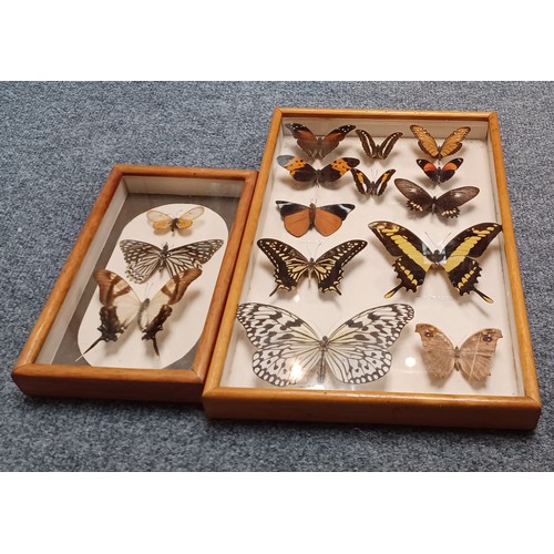 TWO CASES OF TAXIDERMY BUTTERFLIES