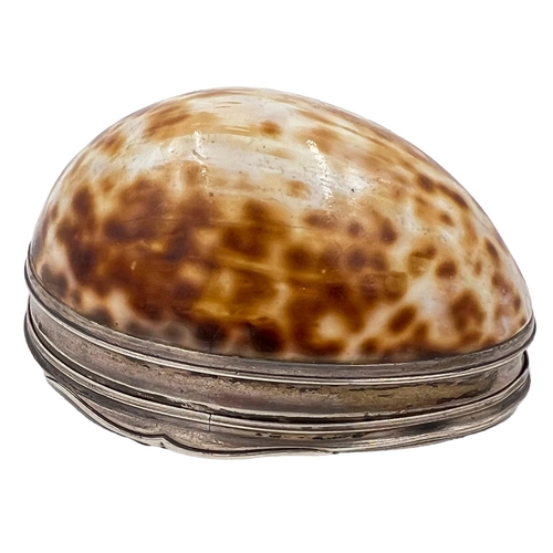 213 - A SILVER MOUNTED GEORGIAN COWRIE SHELL SNUFF BOX, CIRCA 1800A SILVER MOUNTED GEORGIAN COWRIE SHELL S... 