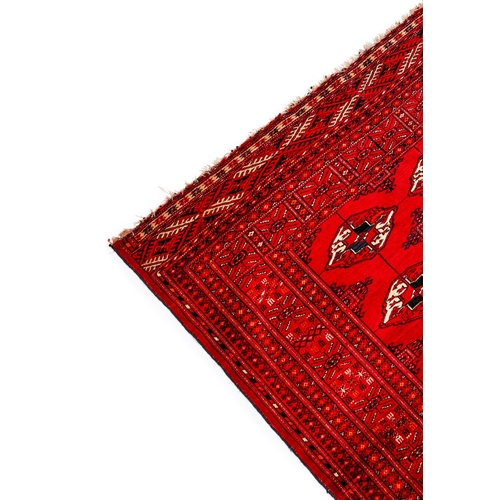 272 - A HAND KNOTTE RED WOOL RUG, UZBEKISTAN, BUKHARAA Hand Knotte Red Wool Rug, Bukhara  H: 177cm, W... 