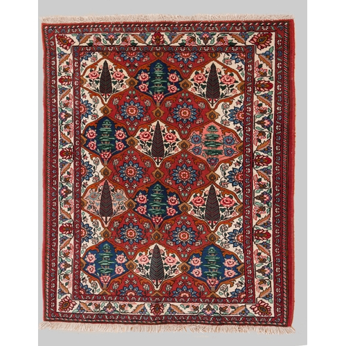 Lot 246       