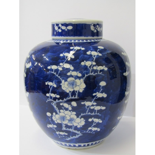 578 - ORIENTAL CERAMICS, Chinese underglaze blue hawthorn blossom pattern lidded ginger jar, 22cm height, ... 