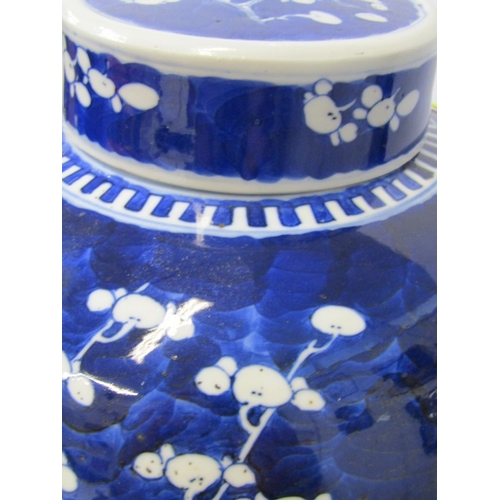 578 - ORIENTAL CERAMICS, Chinese underglaze blue hawthorn blossom pattern lidded ginger jar, 22cm height, ... 