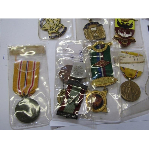 585 - ENAMEL BADGES & MEDALS, various RAOB enamel badges American Defence Service medal & various other En... 