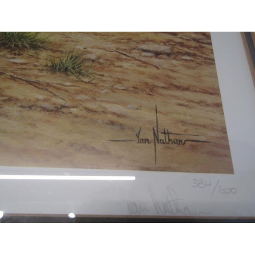 41 - IAN NATHAN, signed limited edition colour print 