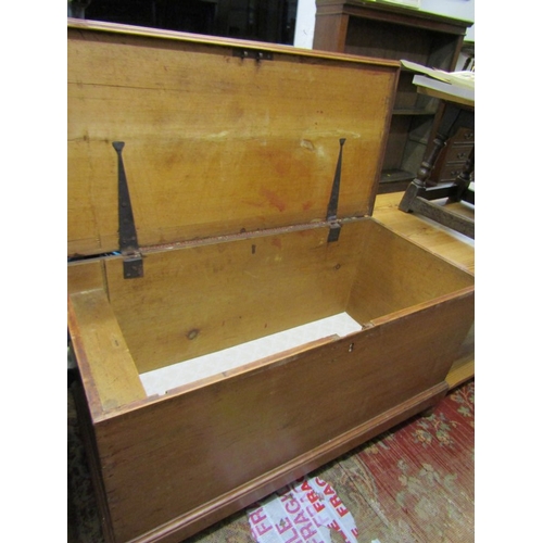 479 - 19th CENTURY PINE LINEN BOX, with rising top