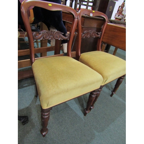 501 - 19th CENTURY DINING CHAIRS, 2 matched mahogany framed dining chairs with gold upholstered seats on t... 