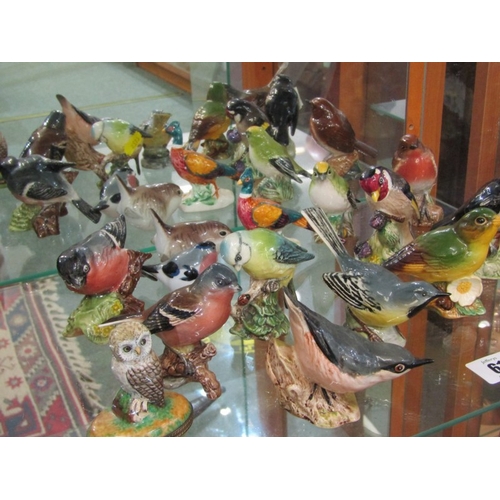 61 - FLOCK OF BESWICK & OTHER BIRD FIGURES, including grey wagtail, nuthatch, bullfinch, also Limoges owl... 