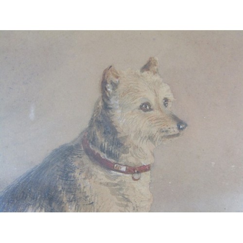 72 - G. EARP, 19th water colour portrait of a Dog, dated 1839