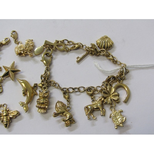 396A - CHARM BRACELET, lobster clasp bracelet with 10 assorted charms, plus 10 further loose charms includi... 