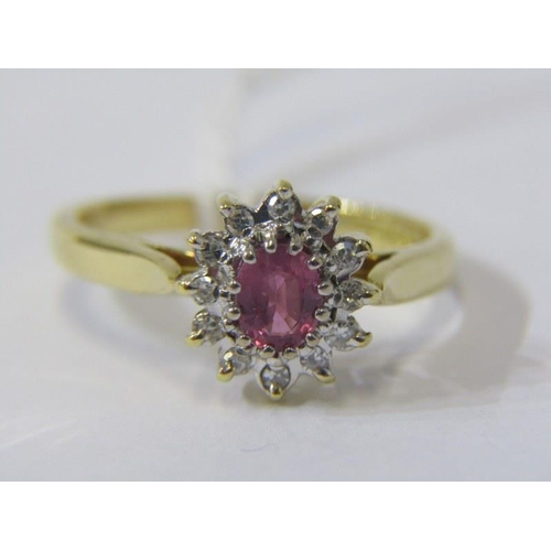 277 - RUBY & DIAMOND CLUSTER RING, 18ct yellow gold ring, set a central oval ruby surrounded by a cluster ... 