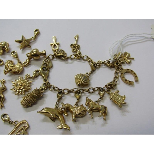 396A - CHARM BRACELET, lobster clasp bracelet with 10 assorted charms, plus 10 further loose charms includi... 