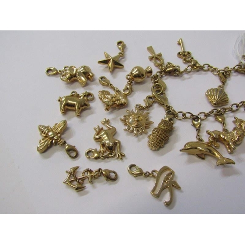 396A - CHARM BRACELET, lobster clasp bracelet with 10 assorted charms, plus 10 further loose charms includi... 