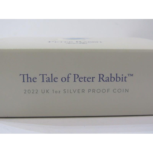 49 - SILVER PROOF £2 COIN, Royal Mint 2022 £2 silver proof 1oz coin 