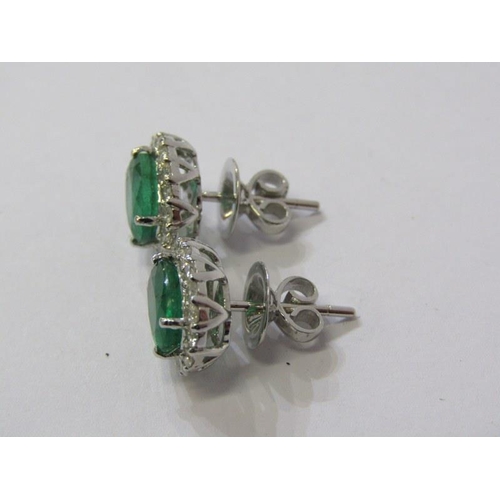 92 - PAIR OF 18ct WHITE GOLD EMERALD & DIAMOND CLUSTER EARRINGS, each earring has a principal oval cut em... 