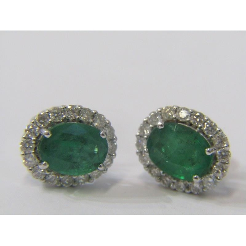 92 - PAIR OF 18ct WHITE GOLD EMERALD & DIAMOND CLUSTER EARRINGS, each earring has a principal oval cut em... 