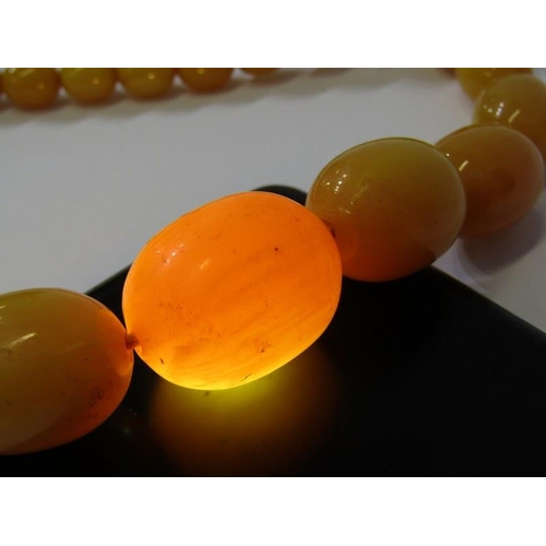 94 - SET OF GRADUATED FAUX AMBER BEADS