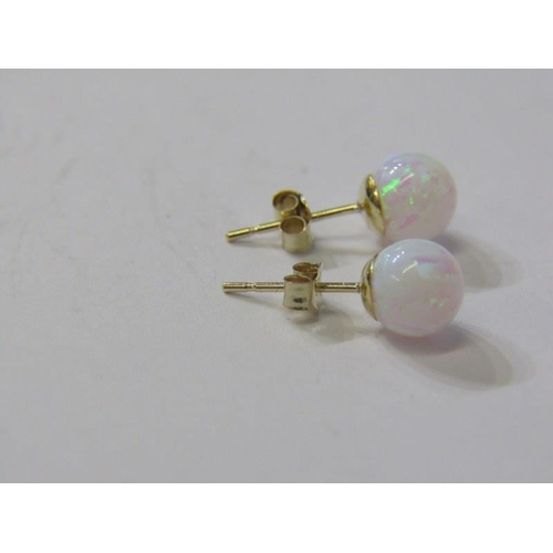 146 - OPAL EARRINGS, pair of 9ct yellow gold opal stud earrings