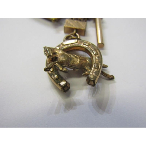 184 - ALBERTINE CHAIN, plated 3 strand watch chain with stone swivel fob and lucky horse shoe, 10