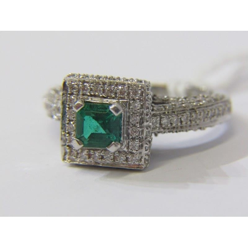 44 - IMPRESSIVE EMERALD & DIAMOND CLUSTER RING, 14ct white gold ring set a square form cushion cut emeral... 