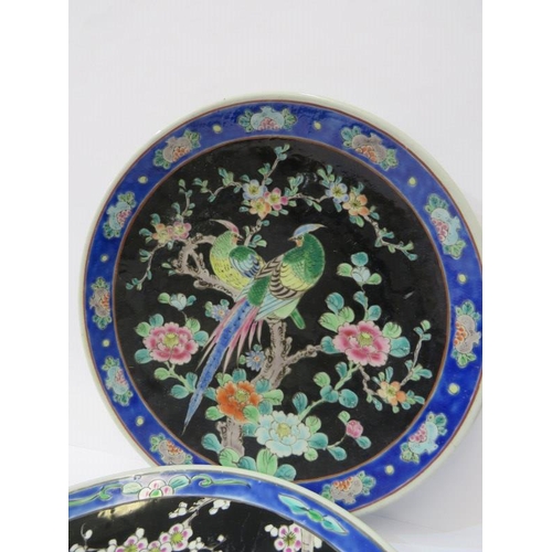 14 - ORIENTAL CERAMICS, two Japanese exotic bird design shallow 31cm dishes