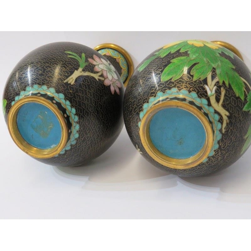 49 - CLOISONNE, pair of Chinese cloisonne peony blossom design 18cm vases