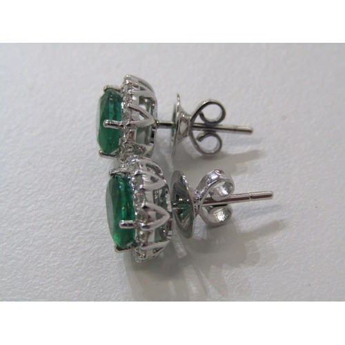 179 - IMPRESSIVE EMERALD & DIAMOND CLUSTER EARRINGS, pair of 18ct white gold earrings set a well matched p... 