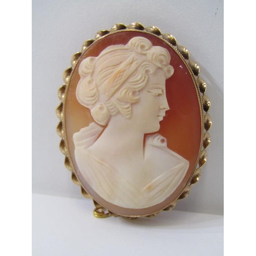 227 - LARGE CAMEO BROOCH, large oval cameo portrait of a classical lady, in 9ct gold mount, 5cm diameter, ... 