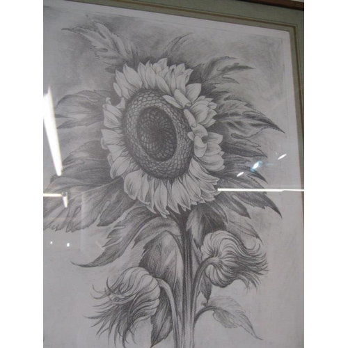 136 - STUART ARMFIELD, signed pencil drawing 