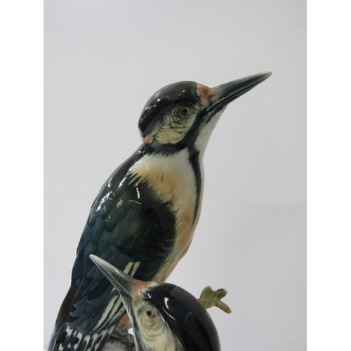 4 - KARL ENS, large Karl Ens porcelain group of woodpeckers on a branch 30cms high, damaged tail