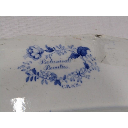 309 - 19th CENTURY BLUE TRANSFER WARE, Staffordshire 