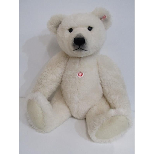 494 - STEIFF BEAR, Polar ted - (alpaca),no 036514, 64cm height, with box and COA