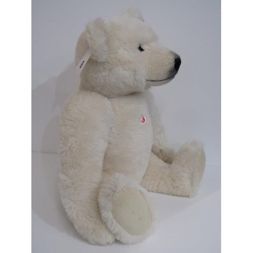 494 - STEIFF BEAR, Polar ted - (alpaca),no 036514, 64cm height, with box and COA