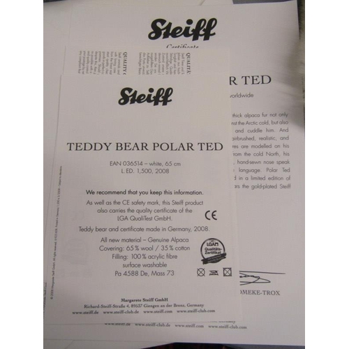 494 - STEIFF BEAR, Polar ted - (alpaca),no 036514, 64cm height, with box and COA