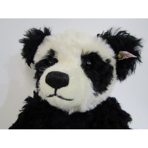 501 - STEIFF BEAR, Panda Bear with growler, mohair, no 661013, 39cm height, with box and COA