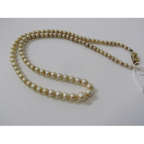 146 - CULTURED PEARL NECKLACE, a graduated pearl necklace with a 9ct yellow gold clasp, 16